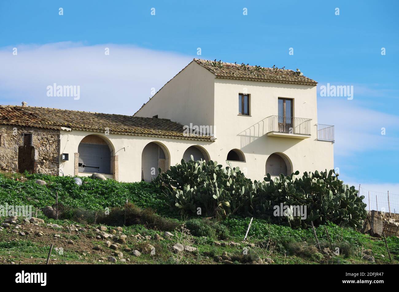 a rural house of the Sicily traditional architecture, in front of it a hedge of prickly pears acts as a fence and they also grow on the top roof Stock Photo
