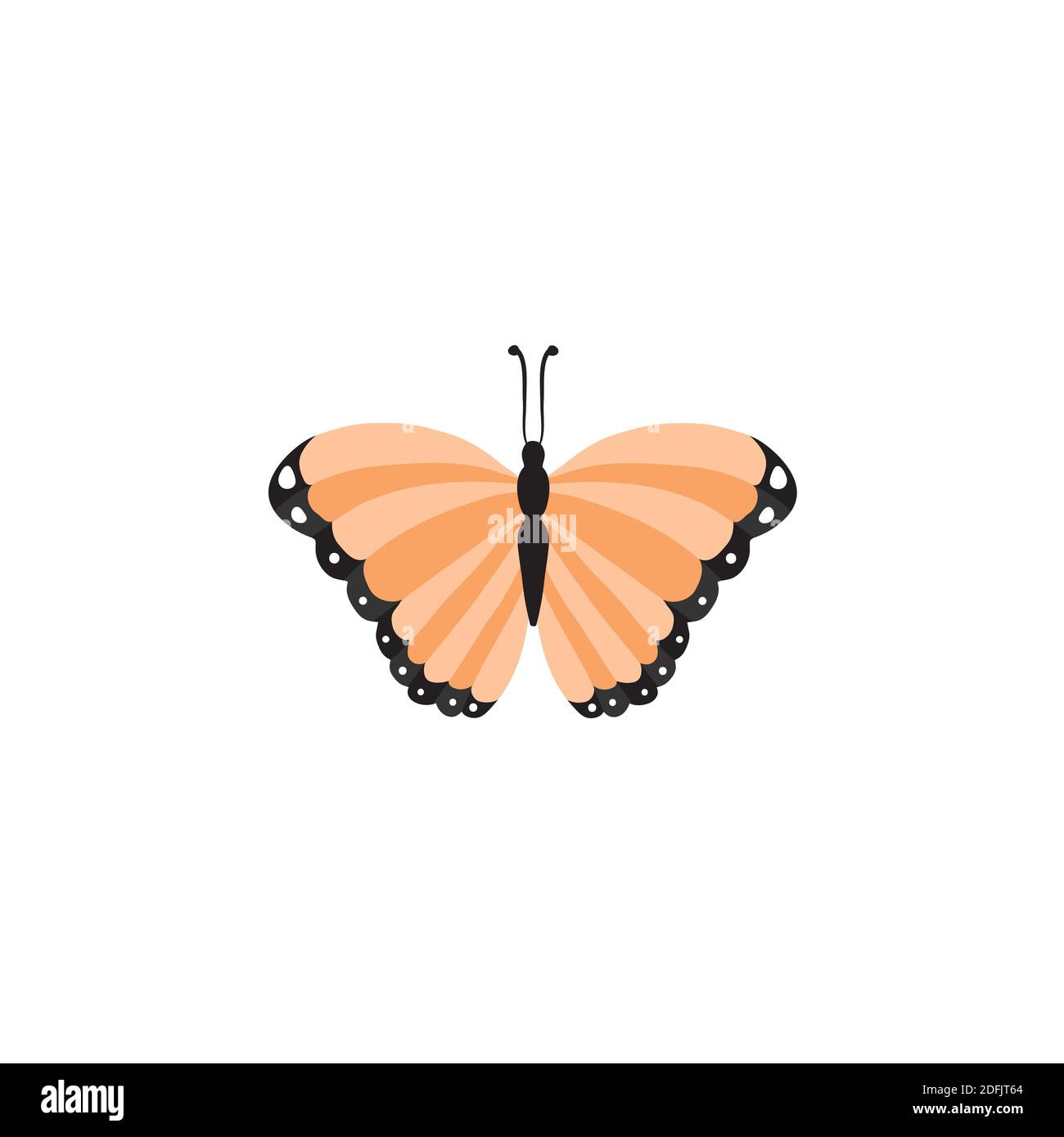 Orange Butterfly Cartoon