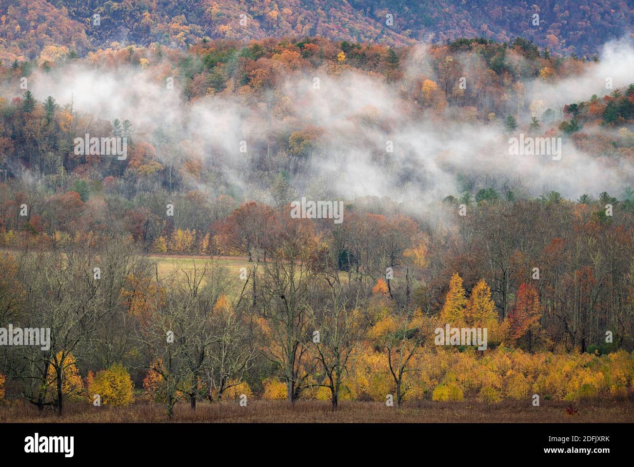 Misty autumn morning in the Cade’s Cove section of Great Smoky Mountains National Park, TN Stock Photo