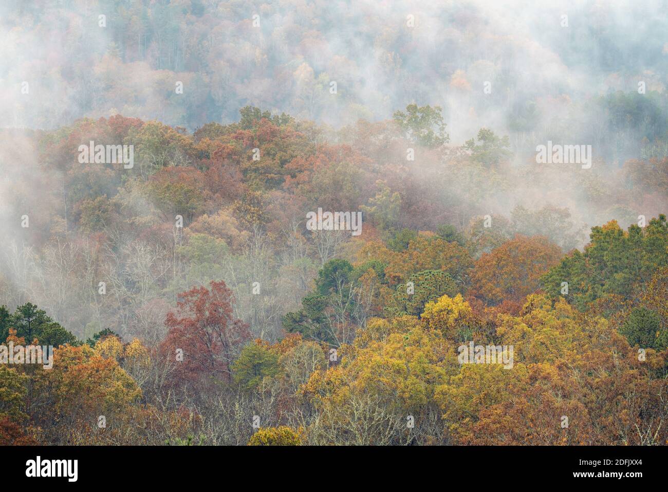 Misty autumn morning in the Cade’s Cove section of Great Smoky Mountains National Park, TN Stock Photo