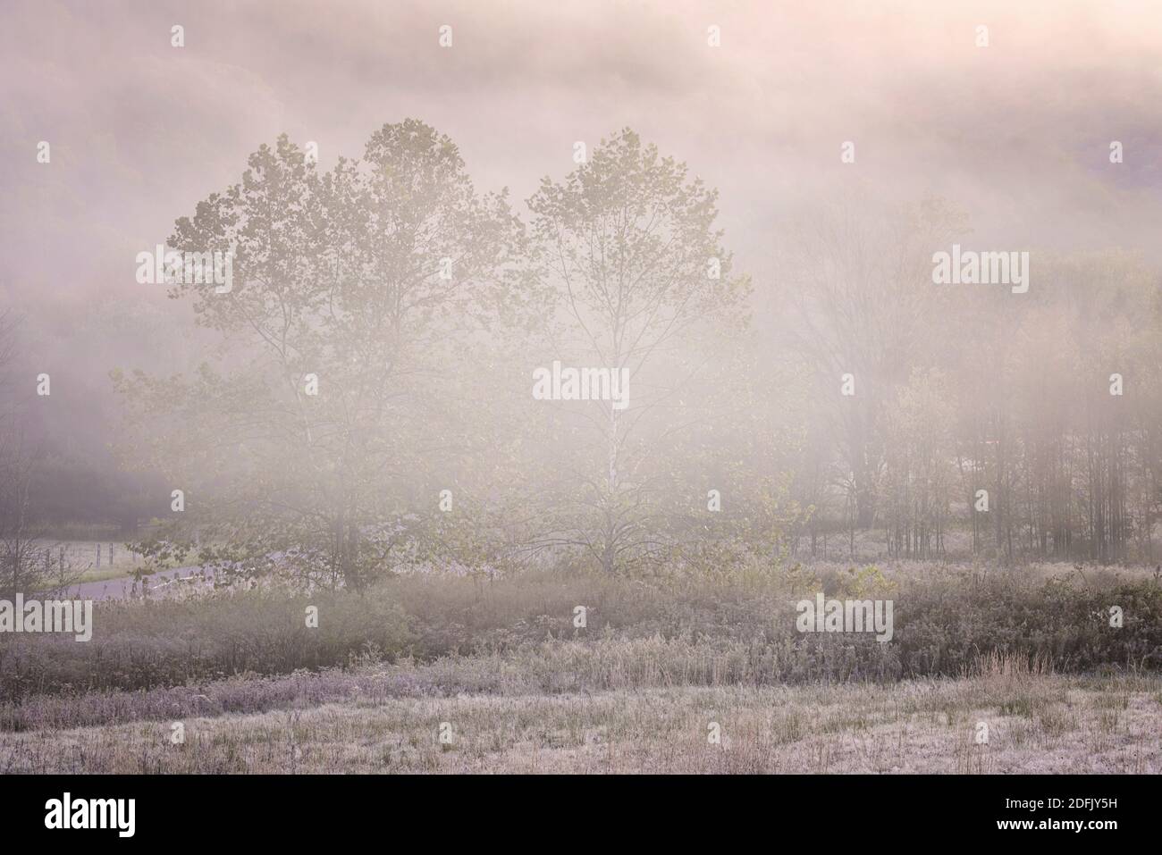 Misty autumn morning near Dry Fork in the mountains of West Virginia