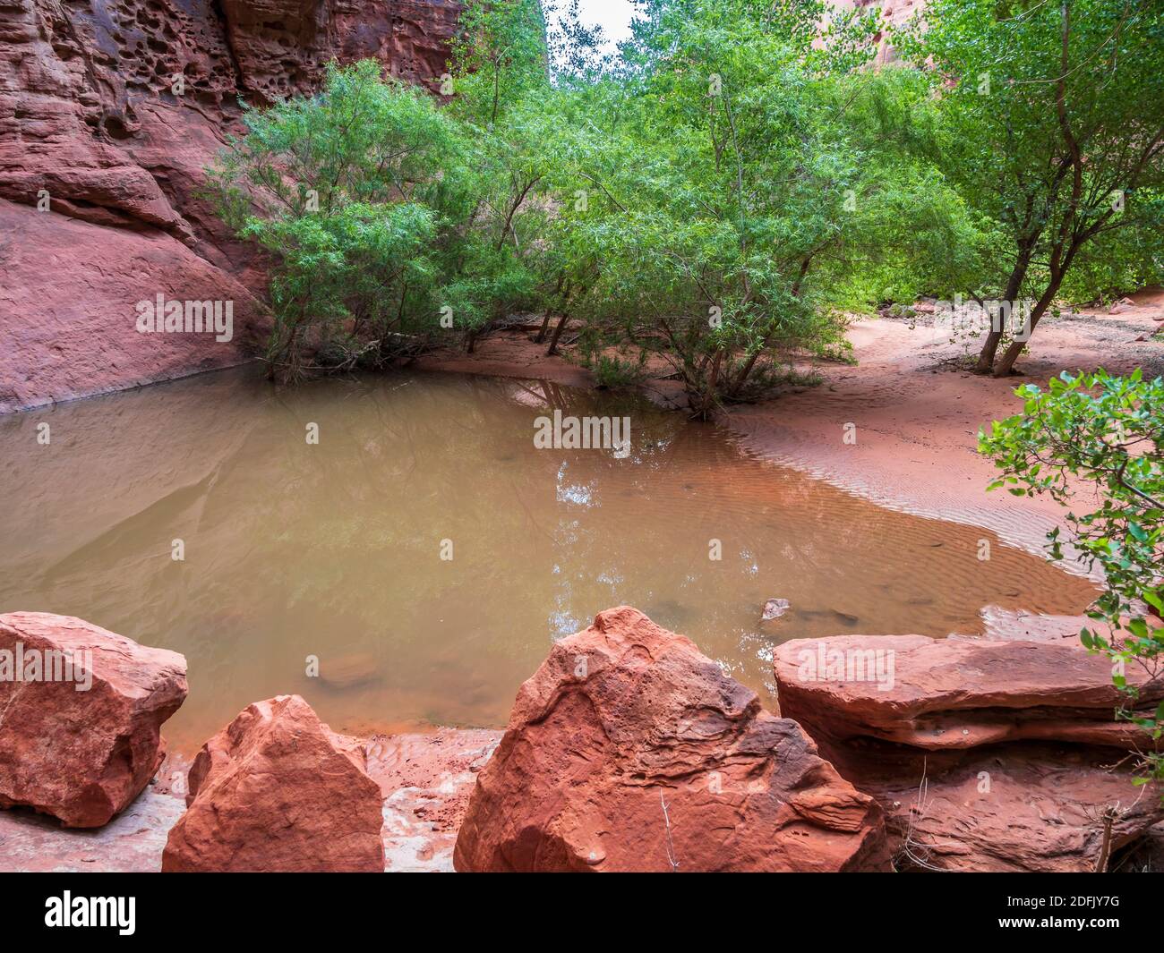 Pool at end of Johnson Canyon, Snow Canyon State Park, Saint George ...