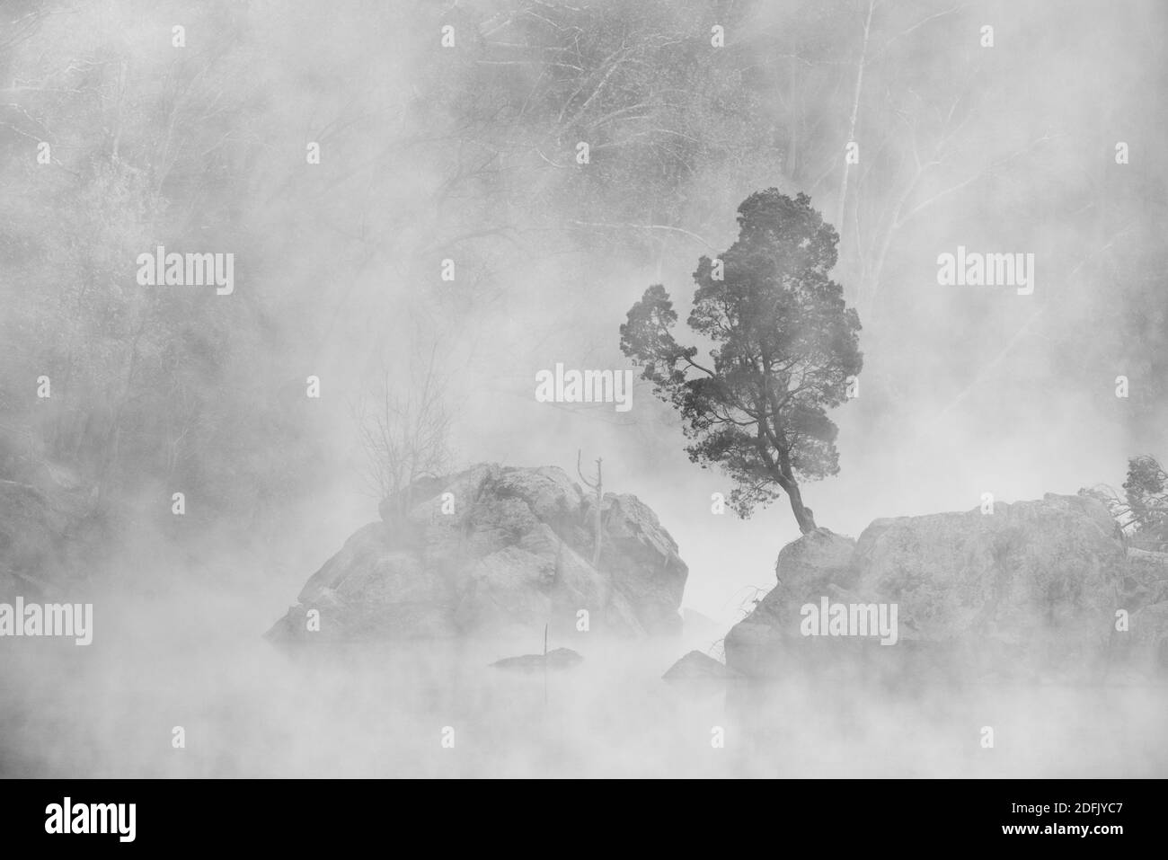 Misty autumn morning along the Widewater section of the C&O Canal, Great Falls National Park, Maryland Stock Photo