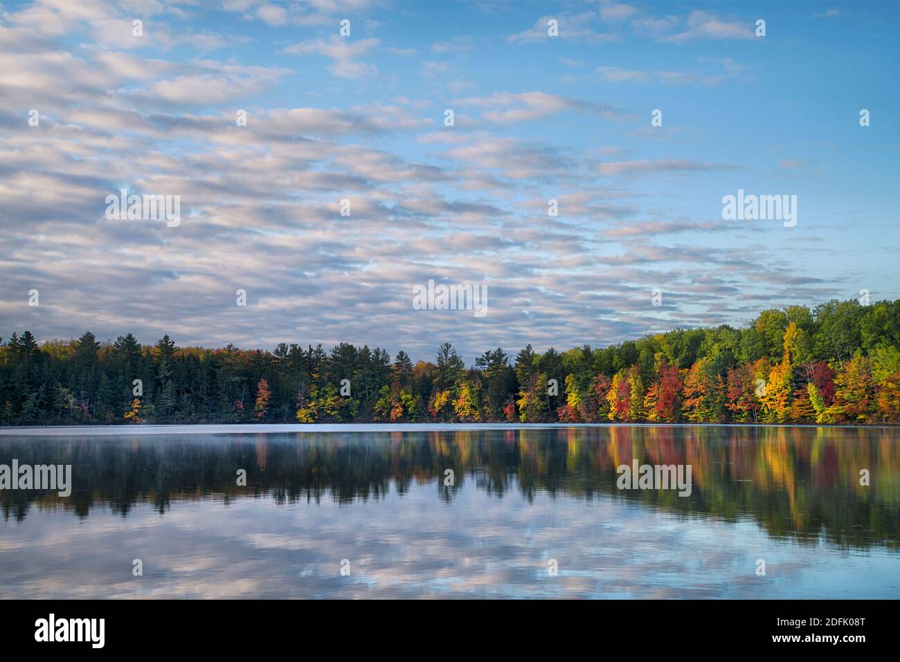 Moccasin hires stock photography and images Alamy