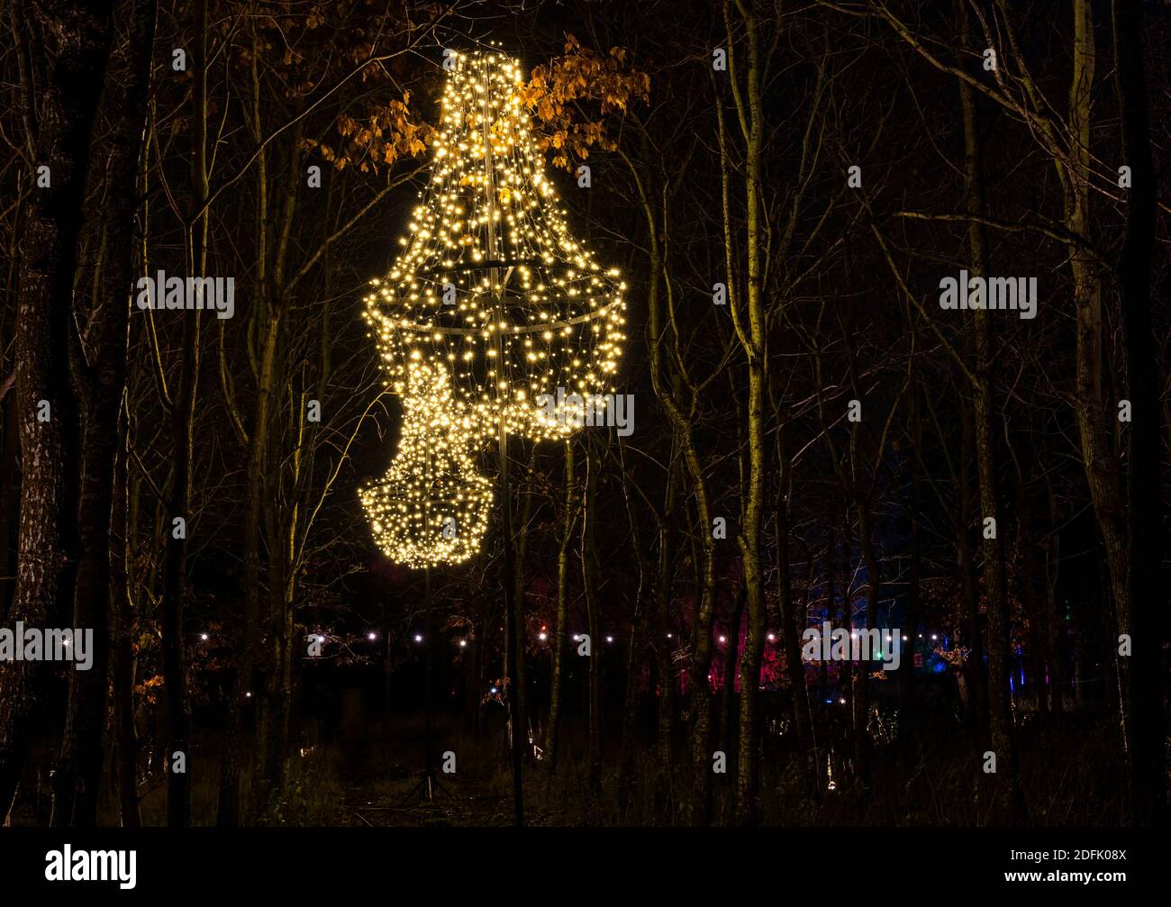 Christmas tree light up hires stock photography and images Alamy