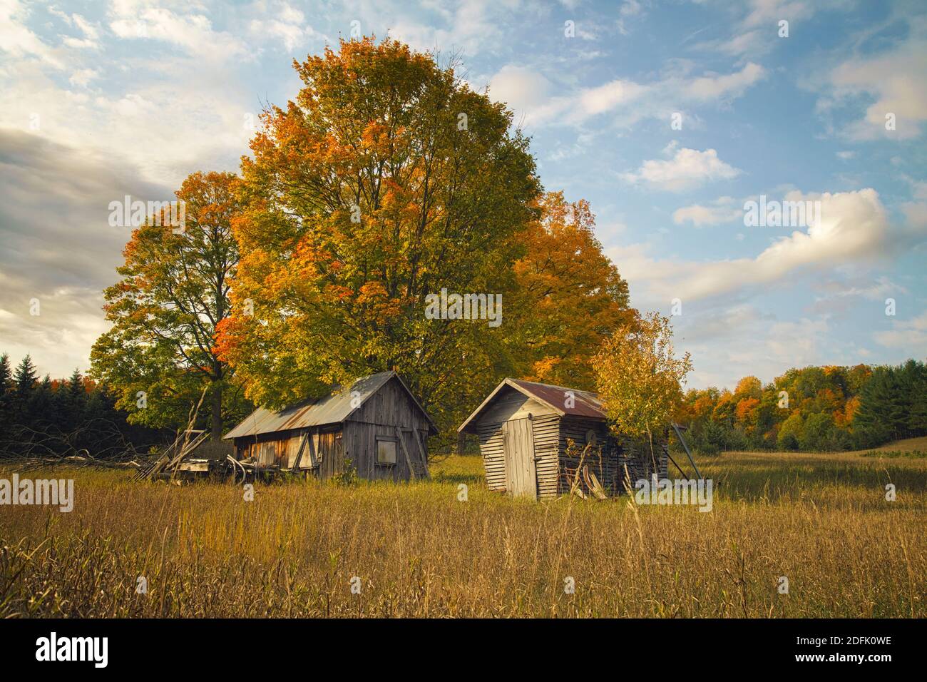 Old farm buildings and autumn color near Petoskey, MI Stock Photo Alamy