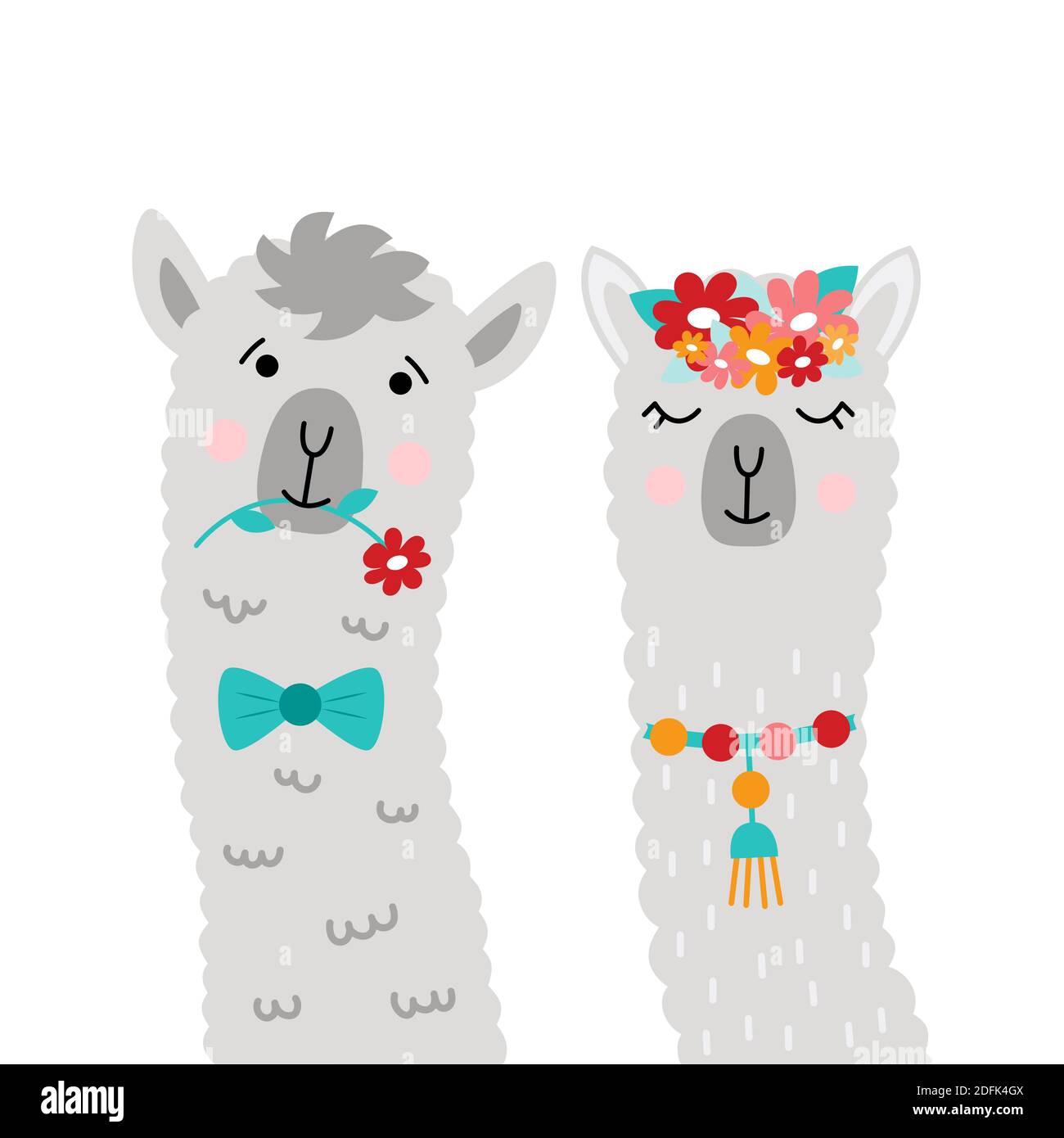 Couple llamas newlyweds. Pretty Alpaca. Vector illustration with llama faces for poster, postcard, t-shirt, sticker, etc. Stock Vector