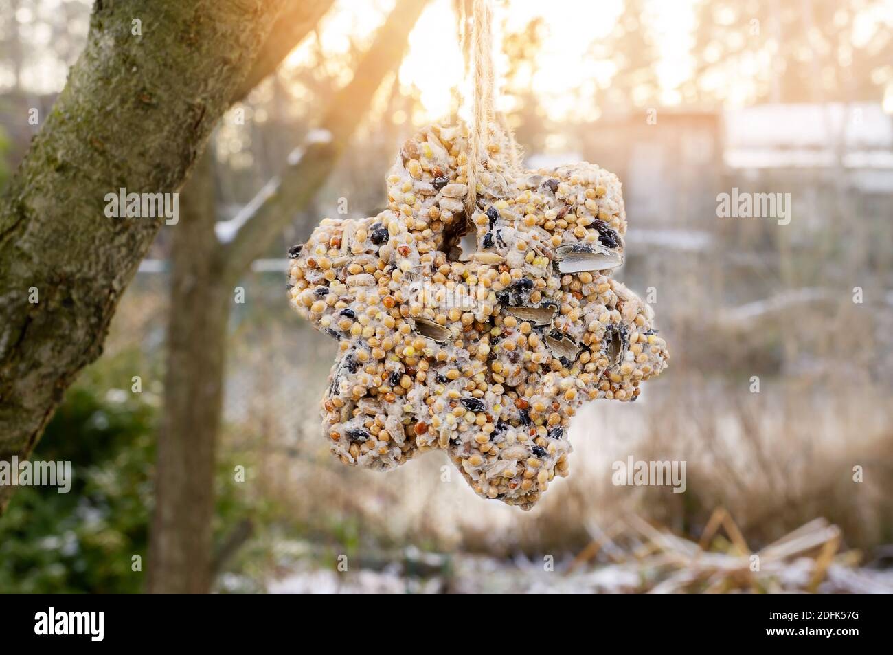 unique homemade manual bird feeder, winter garden. The bird feeder in