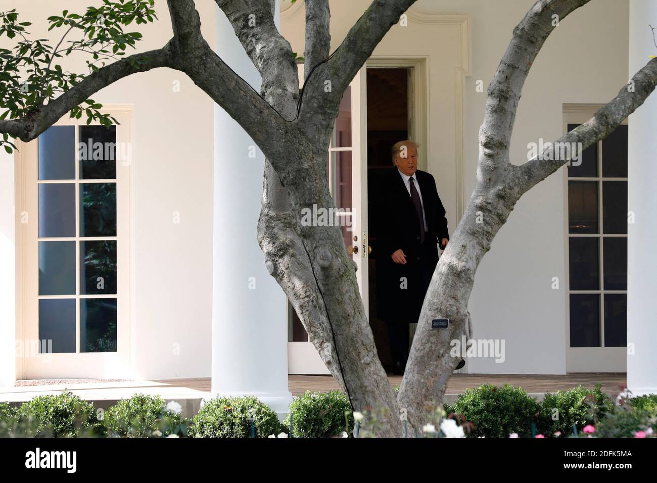 U.S. President Donald Trump walks out from the Oval Office of the White ...