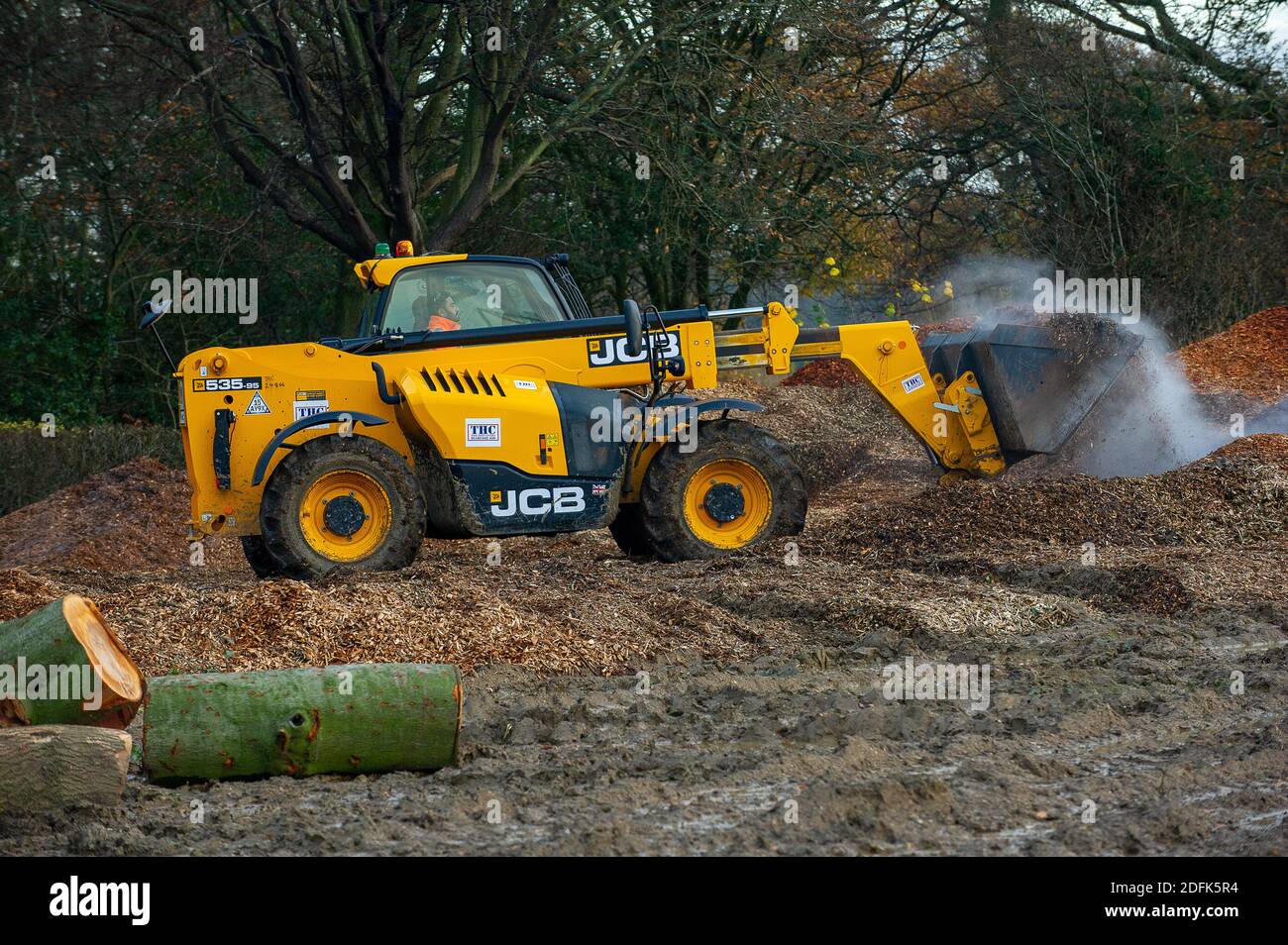 Aylesbury Vale, Buckinghamshire, UK. 23rd November, 2020. Part of the ancient woodland of Grim's Ditch has been destroyed by HS2 and is piled high into big mounds of wood chip. Lorries were at the HS2 site today taking away more of the wood chip which locals found to be quite distressing to see. Two locals today said 'we've walked in this area for many years and now public footpaths and roads are closed due to HS2. We live near to where the railway will be and the stress of it all has made us ill'. Credit: Maureen McLean/Alamy Stock Photo