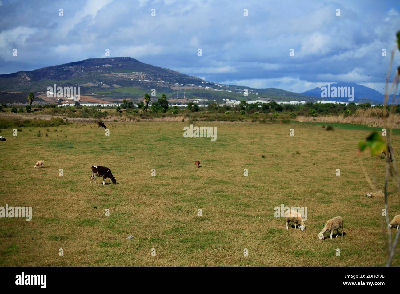 Rural landscape morocco hires stock photography and images Alamy