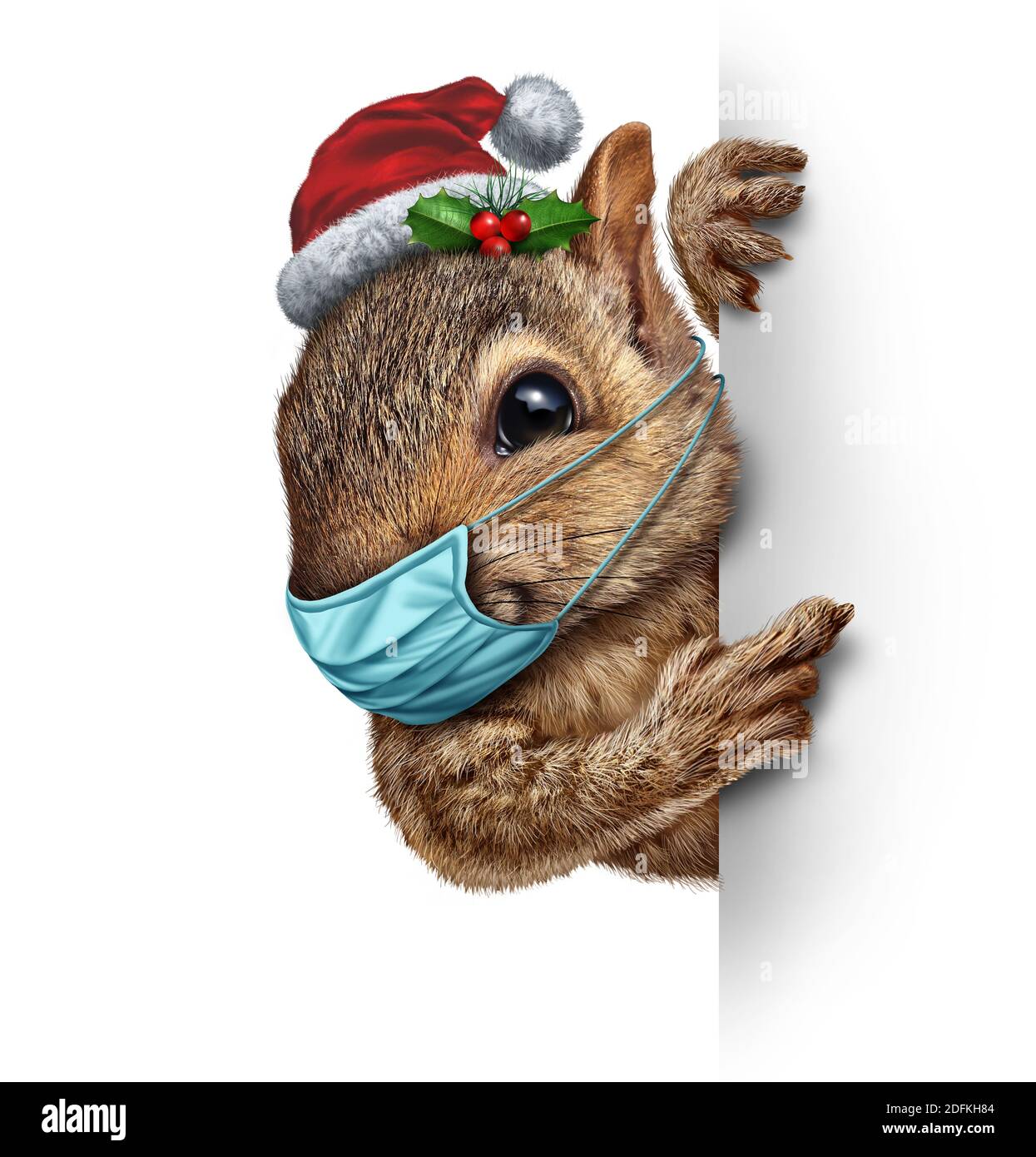 Healthy holiday squirrel wearing a face mask as a friendly furry rodent character gripping a billboard for disease prevention as a Christmas new year Stock Photo