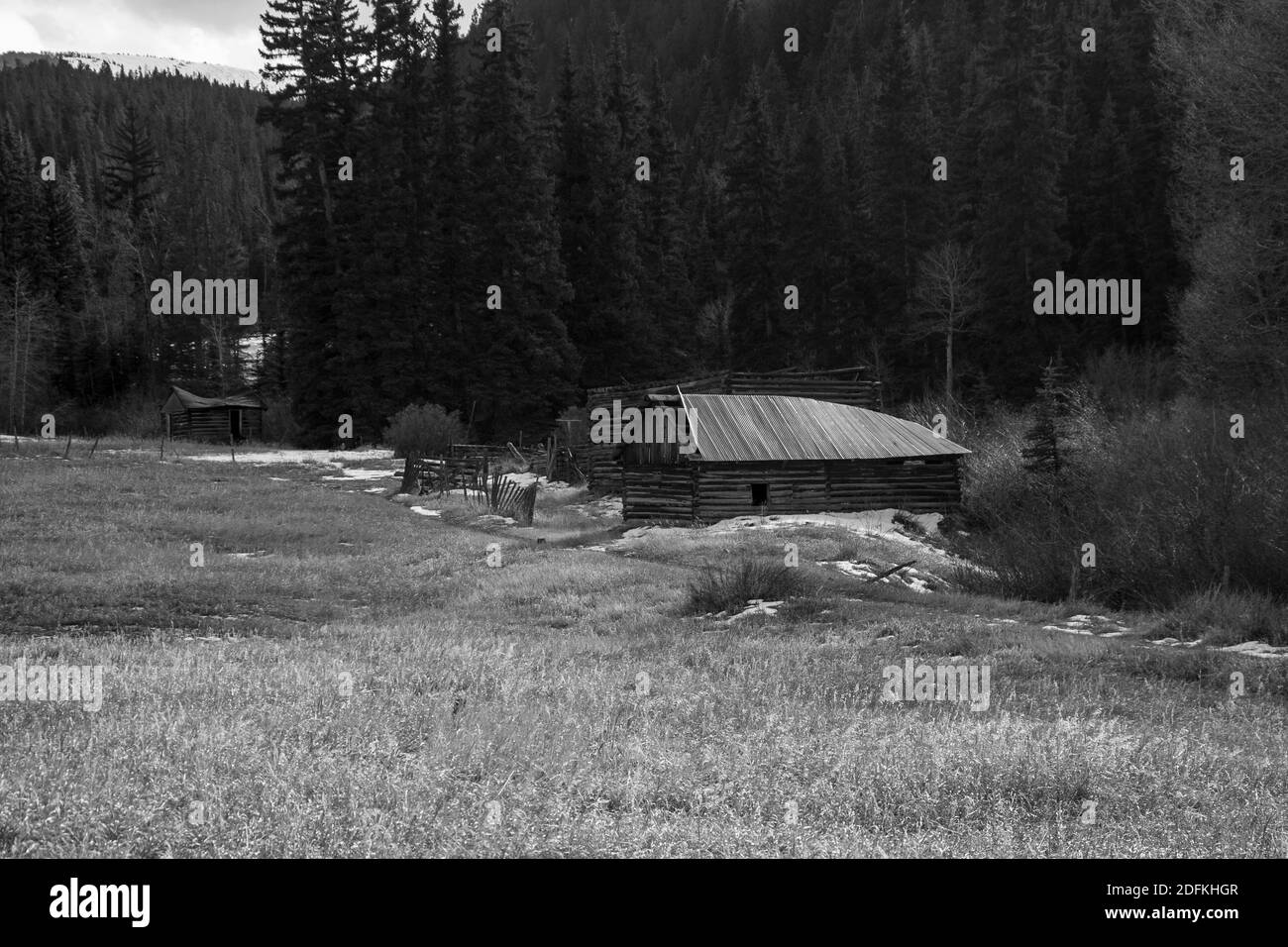 Sylvan Lake Nov 2020 Stock Photo Alamy Sylvan Lake Nov 2020 Stock Photo Alamy