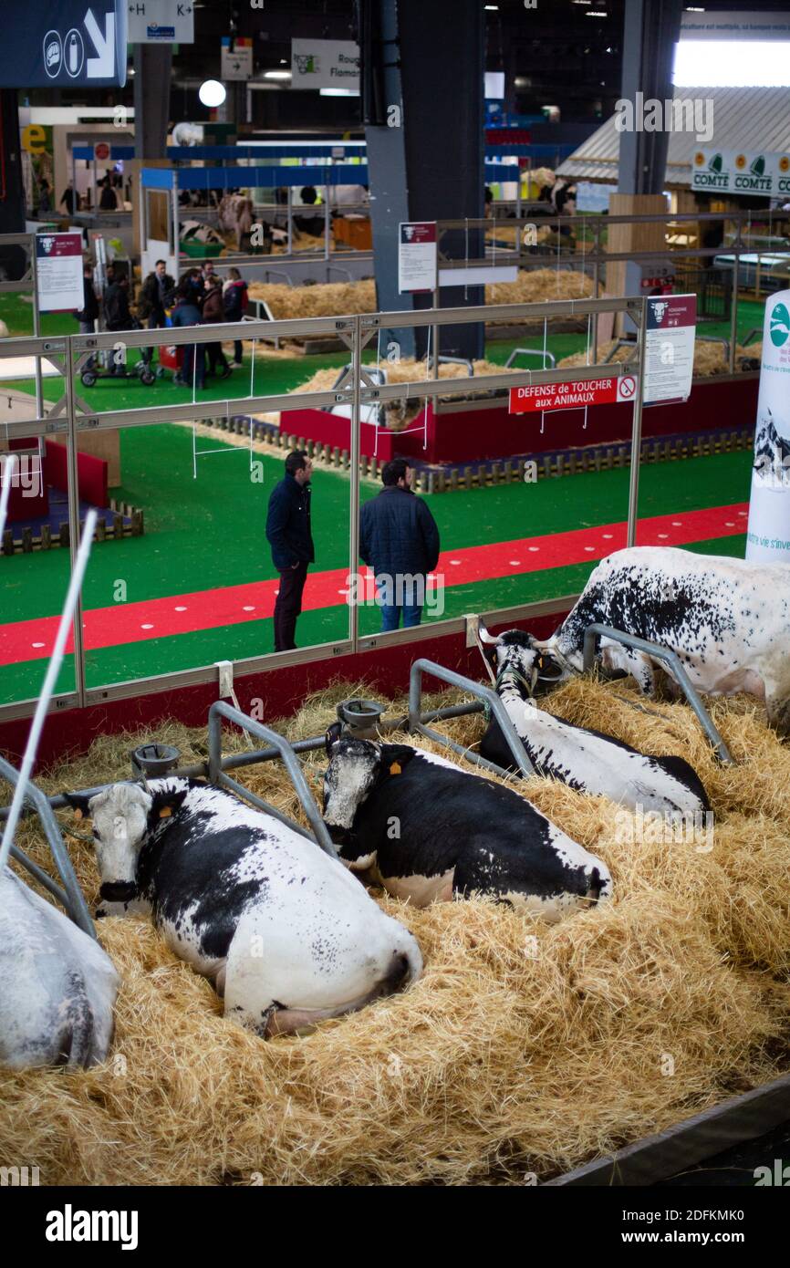 File photo dated February 21, 2020 of a general view of the 57th  International Agriculture Fair (Salon international de l'Agriculture) at  the Porte de Versailles exhibition centre, in Paris. The Paris International