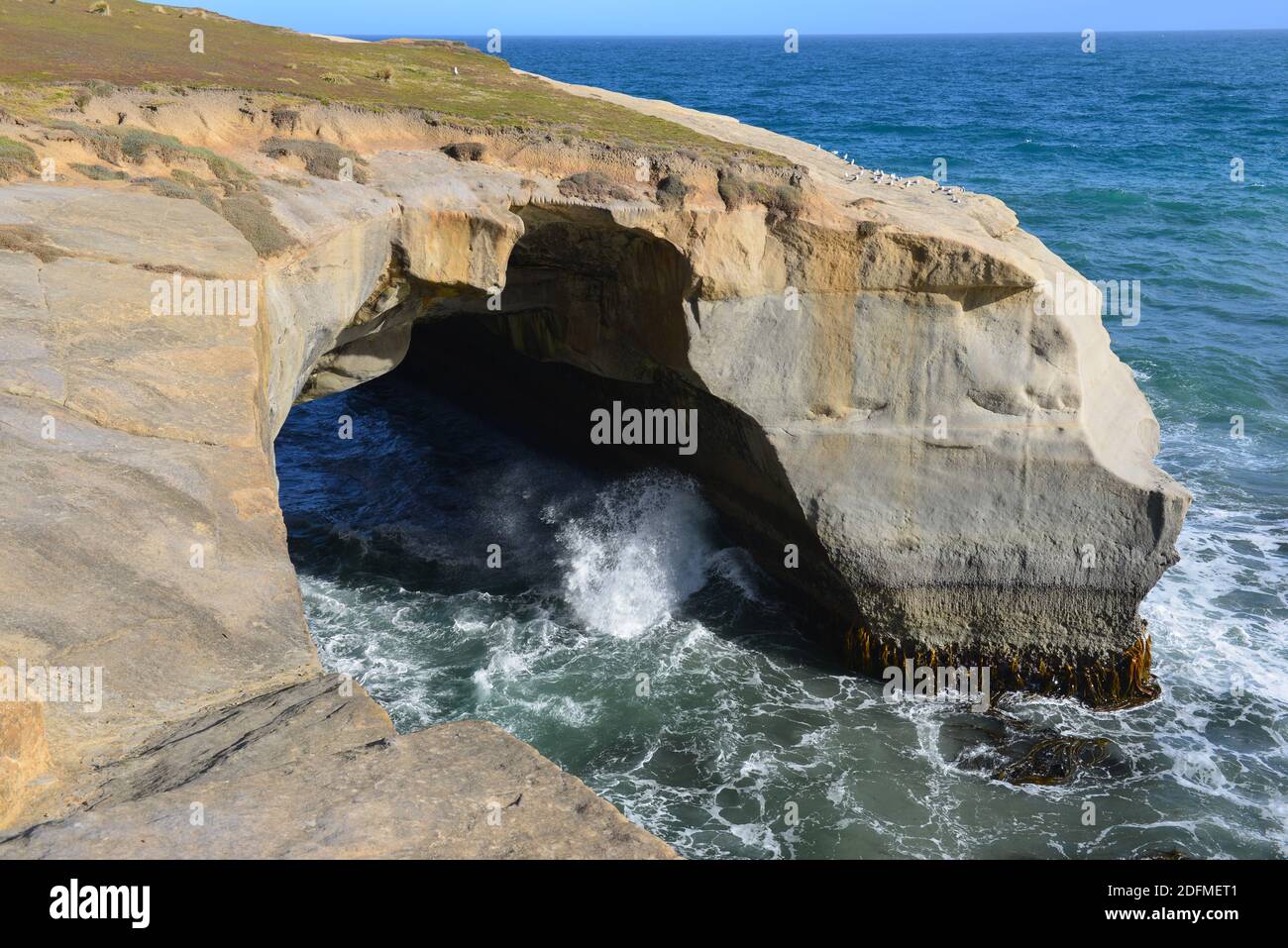 Secluded Tunnel Beach near Dunedin New Zealand Stock Photo Alamy