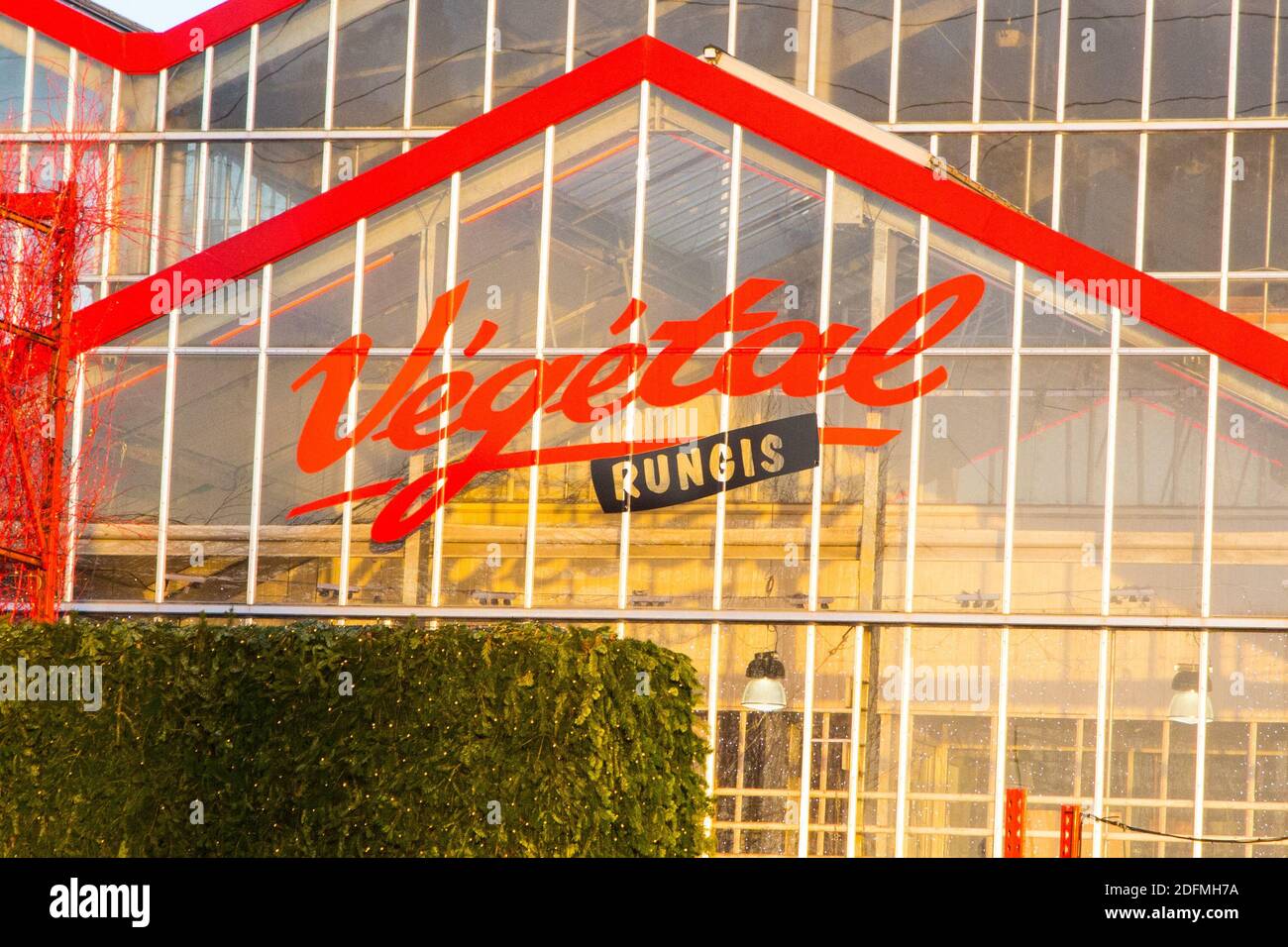 International Market of Rungis - Plants area on November 19, 2020 in