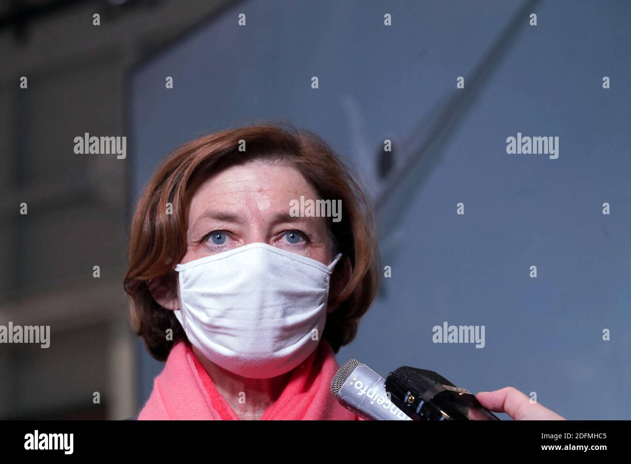 French Minister of the Armed Forces Florence Parly visits Dassault ...