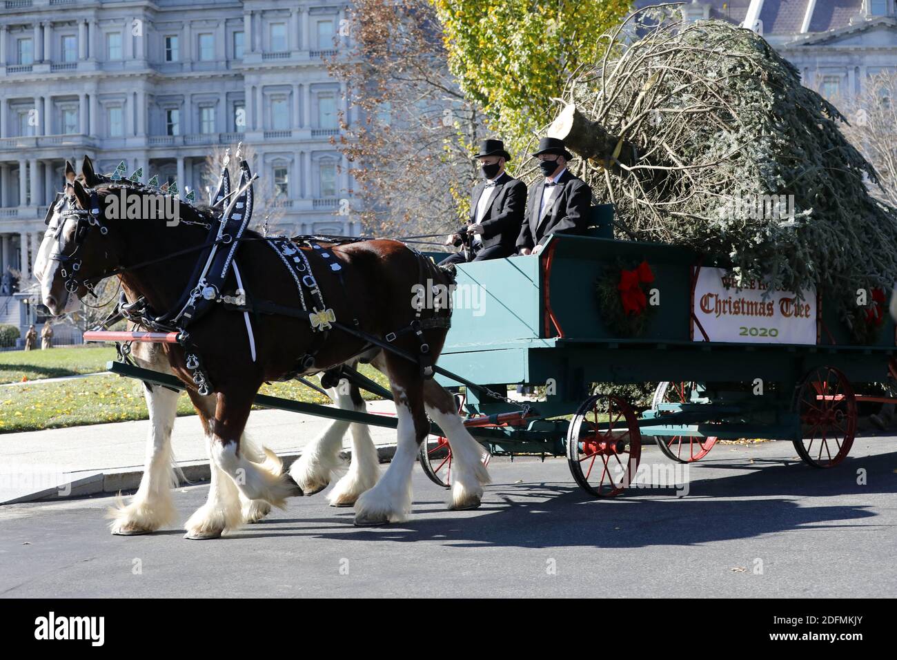 23 Foot Tall High Resolution Stock Photography And Images Alamy