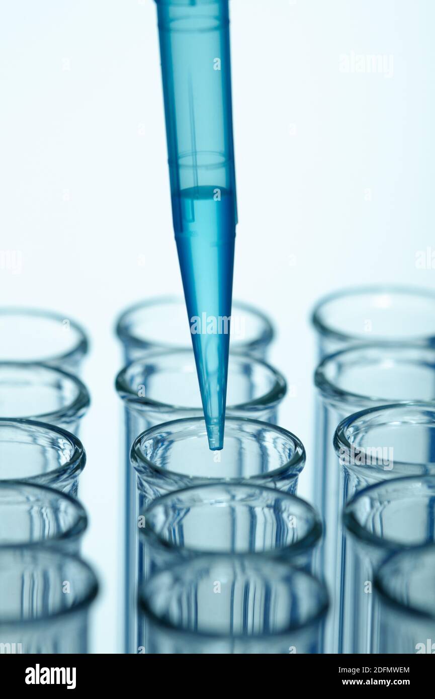 Pipetting. A precision micropipette is used to transfer a small amount