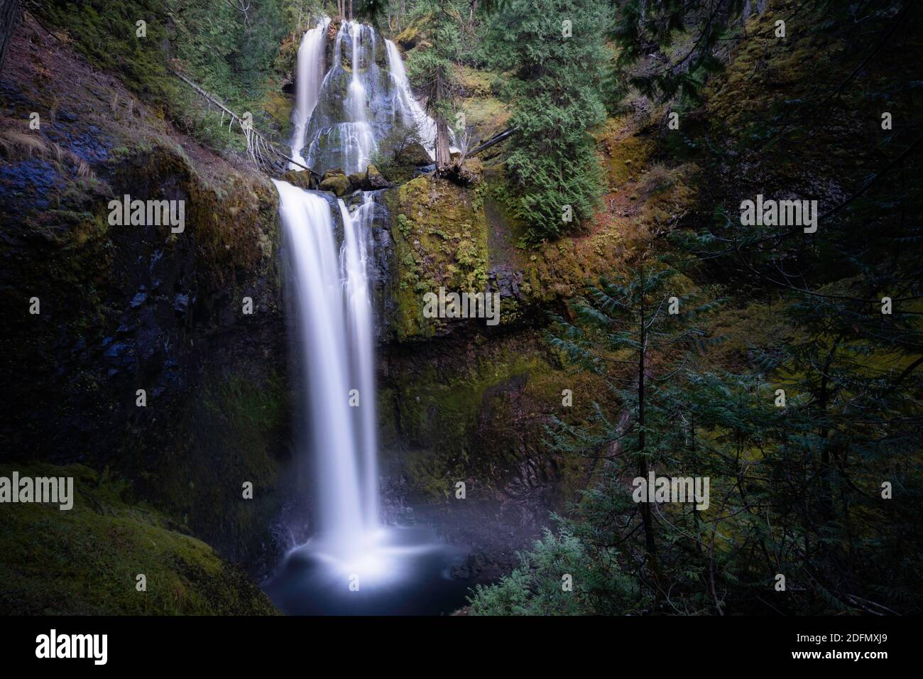 Long exposure shot of cascading waterfalls in the GiffordPinchot national forest. Fall Creek