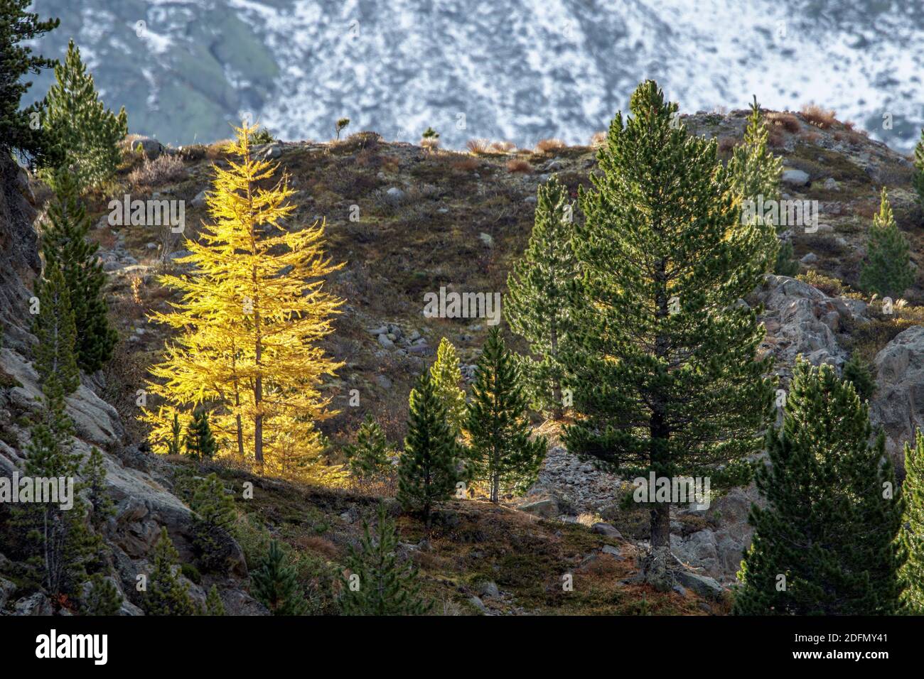 Osterreich landschaft hires stock photography and images Alamy