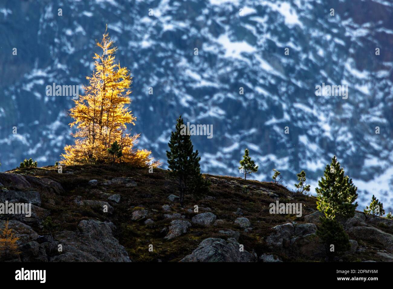 Osterreich landschaft hires stock photography and images Alamy