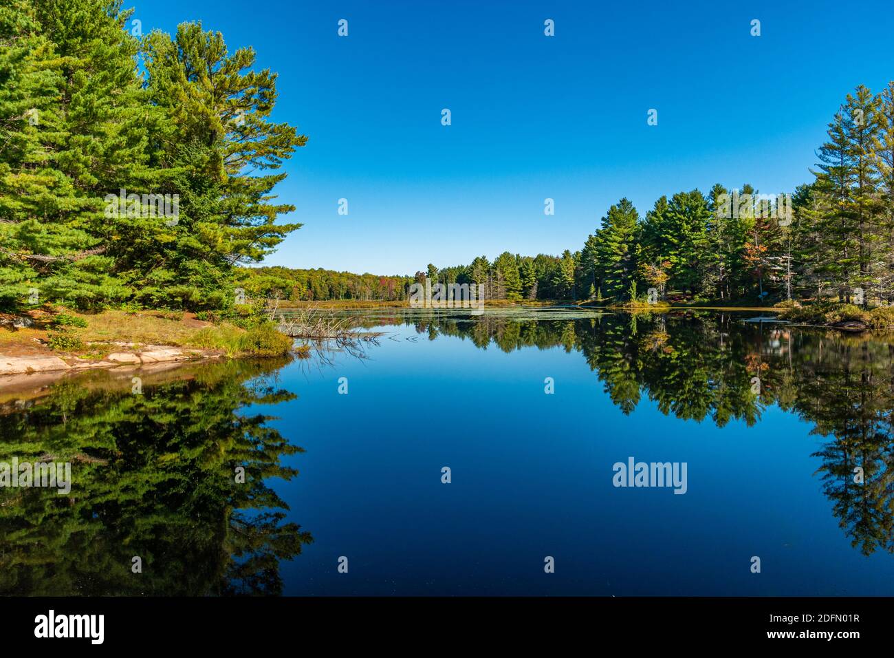 Hawk Lake Log Chute Algonquin Highlands Haliburton County Ontario Canada in summer Stock Photo