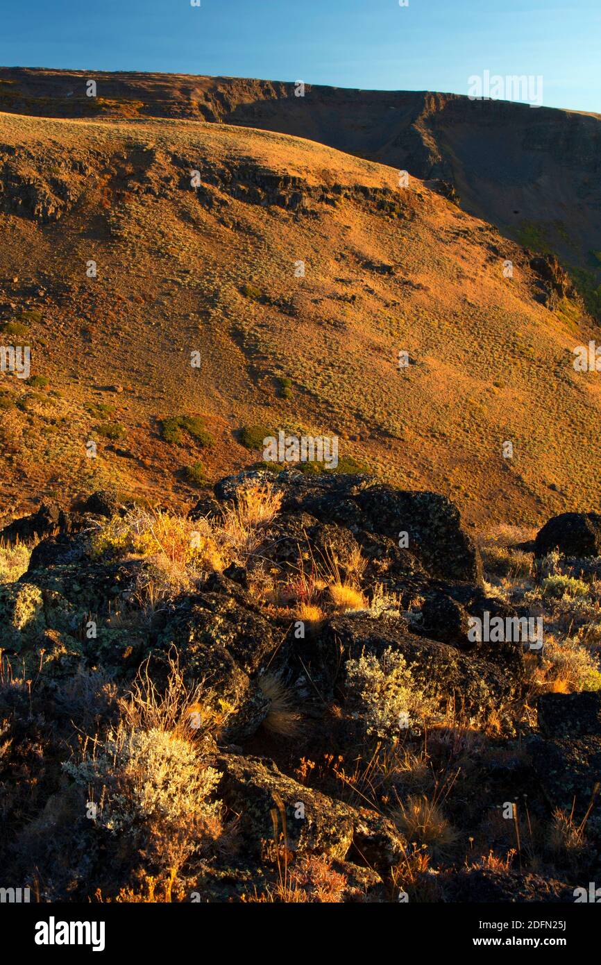 Wet blanket trail hires stock photography and images Alamy