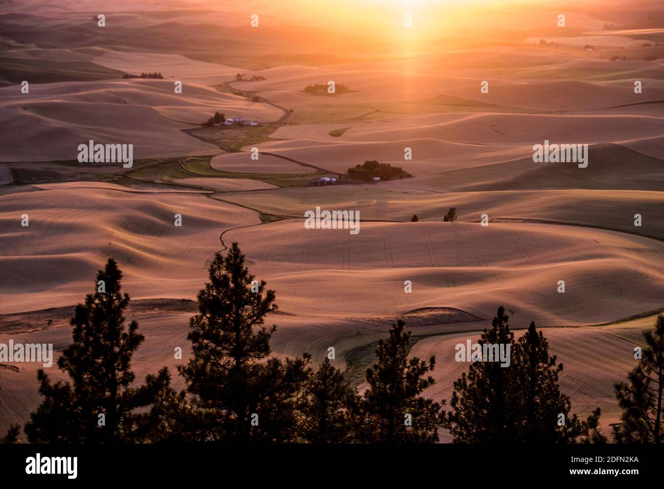 View of Palouse wheatfields from summit of Kamiak Butte, near Pullman, Washington, USA Stock Photo