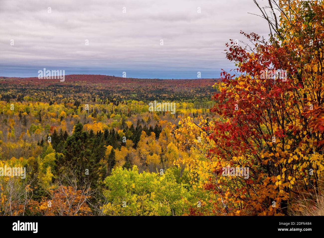 Fall colors from Britton Peak in northern Minnesota, USA Stock Photo