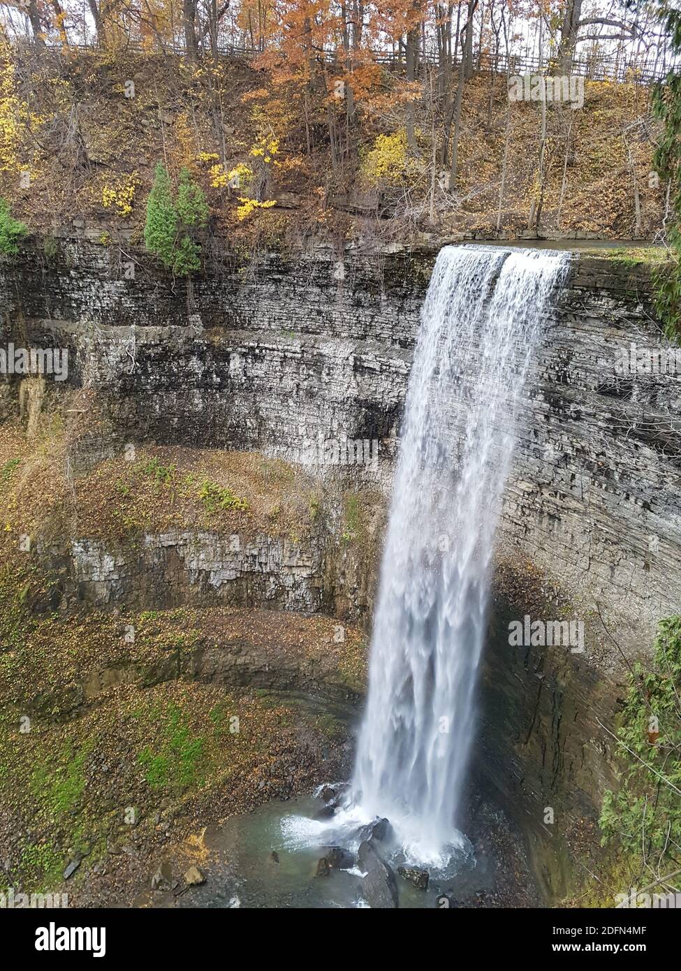 Waterfall bugs hi-res stock photography and images - Alamy
