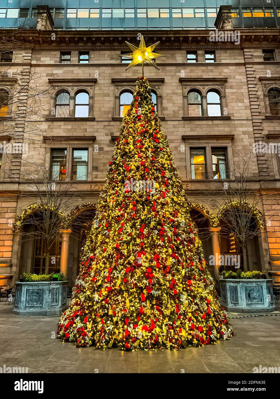 Christmas Tree in front of Lotte New York Palace hotel in New York City