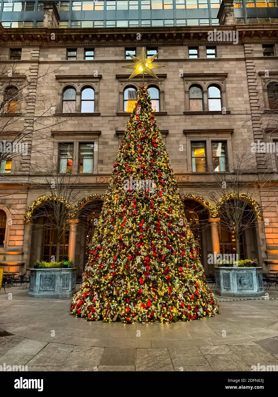 Christmas Tree in front of Lotte New York Palace hotel in New York City