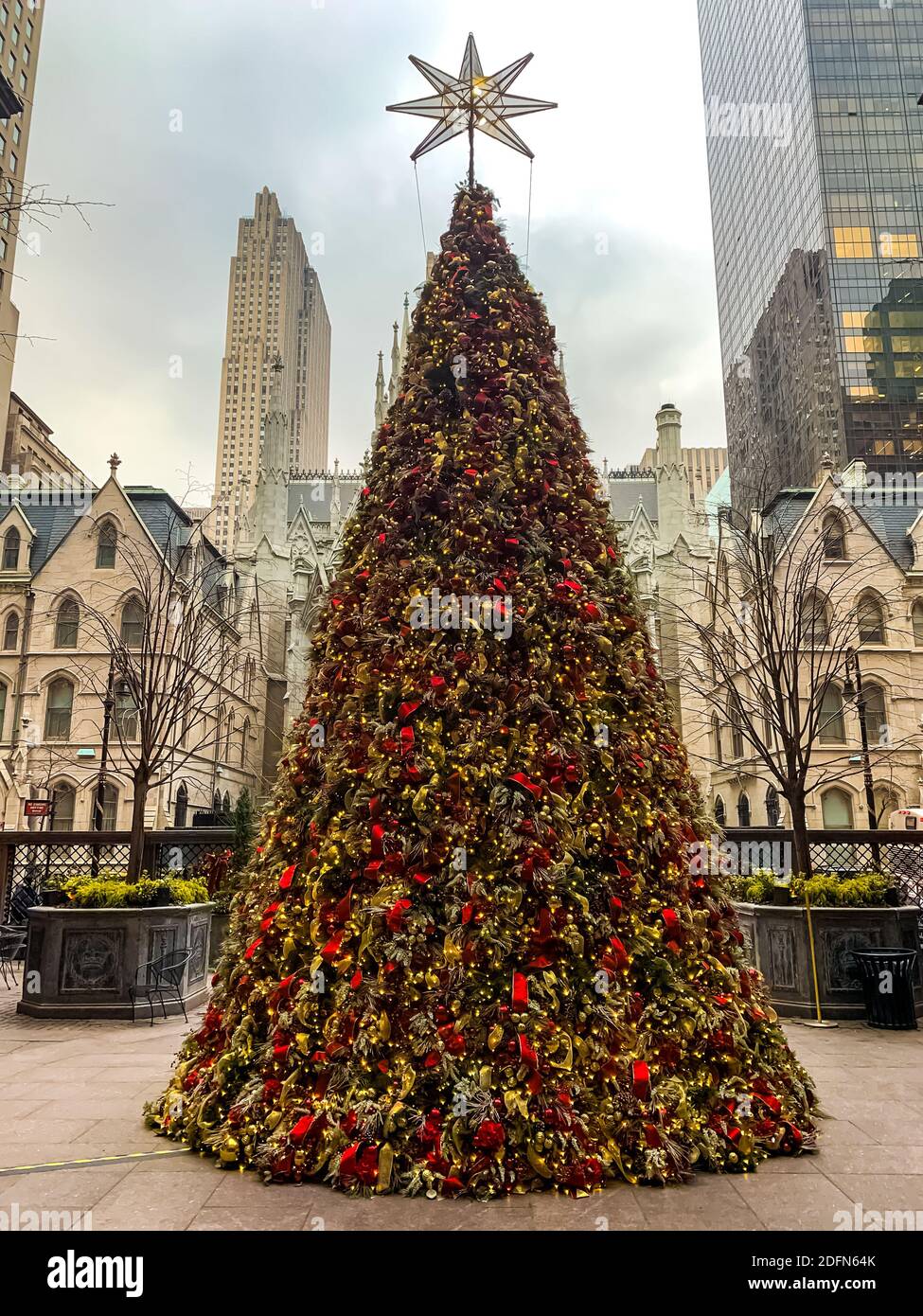 Christmas Tree in front of Lotte New York Palace hotel in New York City