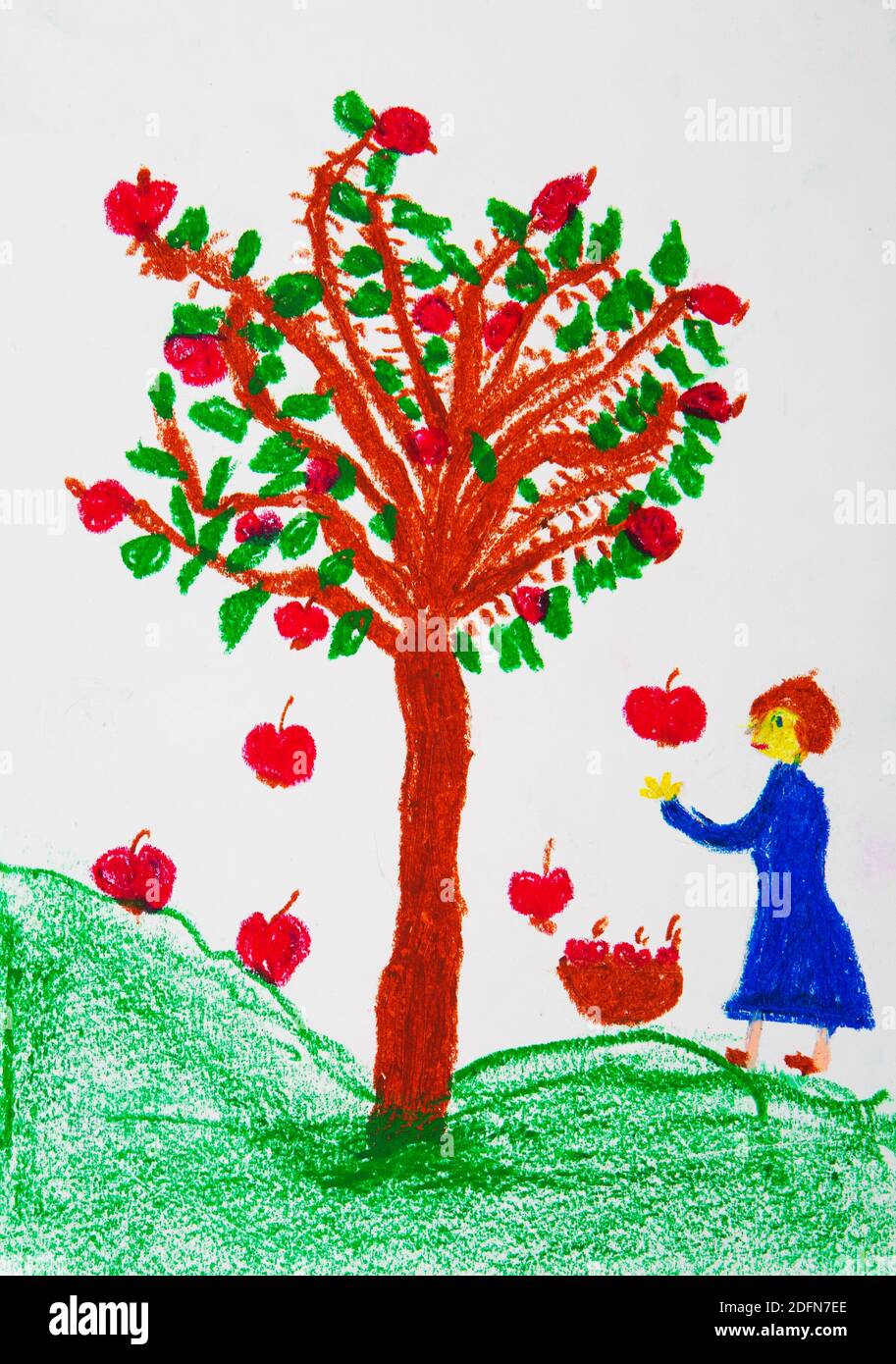 Naive illustration, children's drawing, girl harvesting apples, Austria Stock Photo