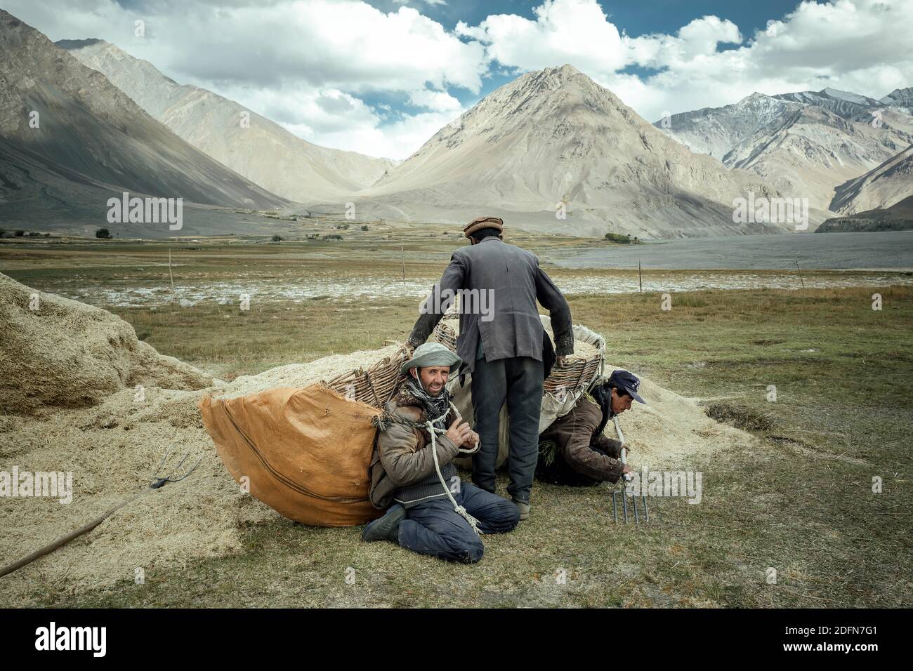 One man helps two other men shoulder their baskets of wheat to bring the harvest from the fields to the granaries, members of the ethnic group of the Stock Photo