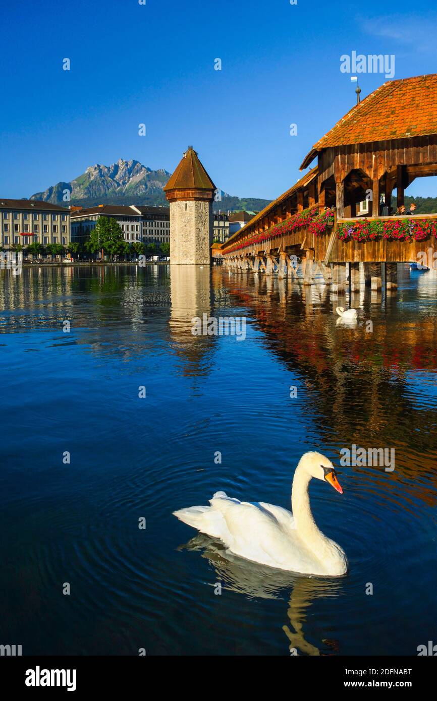 chapel-bridge-with-pilatus-reuss-lucerne-switzerland-stock-photo-alamy