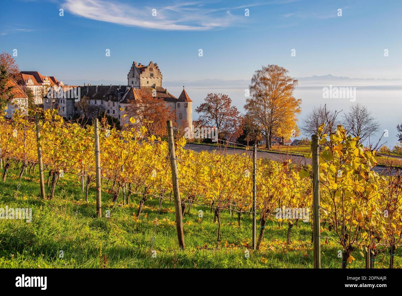 Vineyard with Meersburg Castle, the lake and the chain of the Alps, Meersburg, Lake Constance, Upper Swabian Baroque Road, Baden-Wuerttemberg, Germany Stock Photo