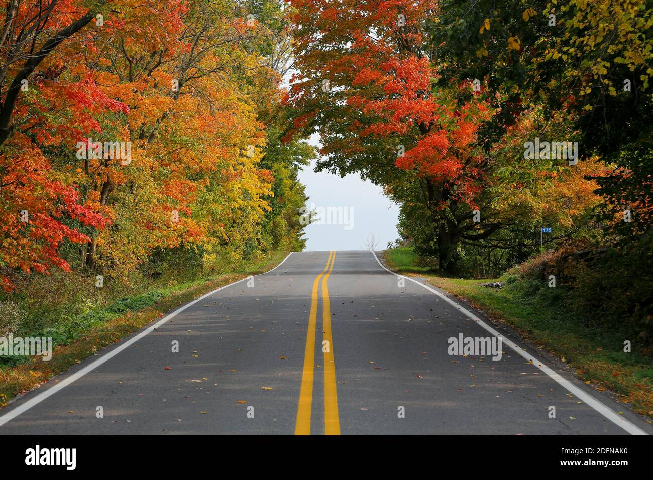 Country road through colourful autumn forest, Indian Summer, Province of Quebec, Canada Stock Photo
