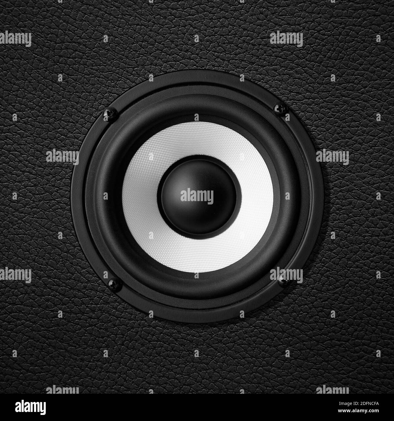 Black & white speaker, leather speakers Stock Photo Alamy