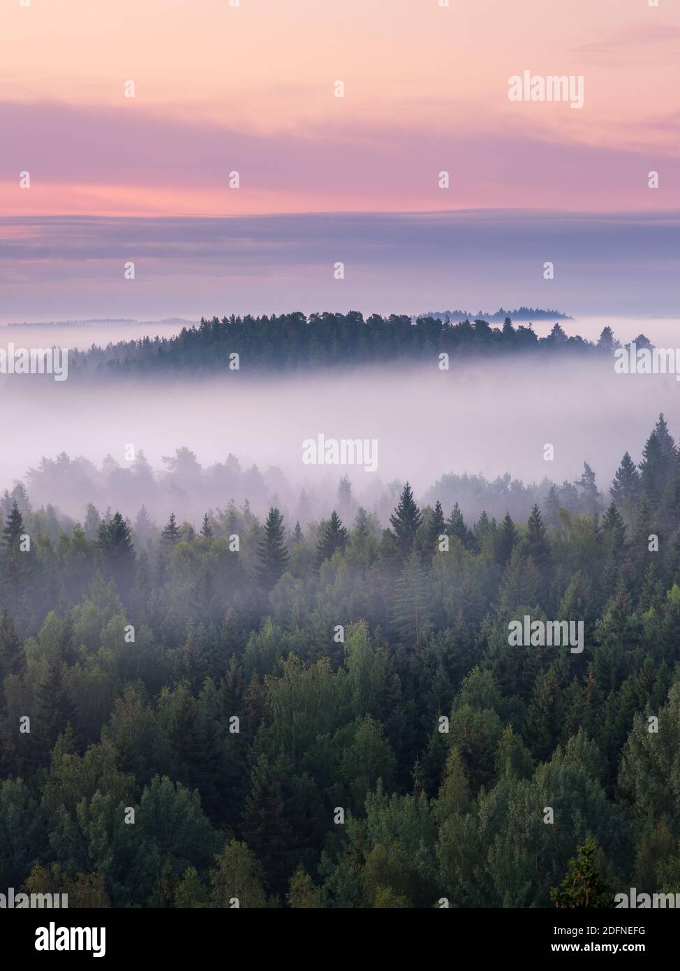Scenic foggy landscape with mood forest at summer morning at National park, Finland. High angle aerial view. Stock Photo