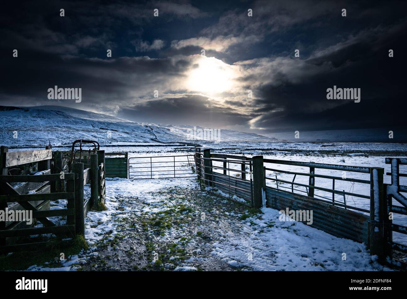 Farm Gates in the Snow, Yorkshire Dales Stock Photo