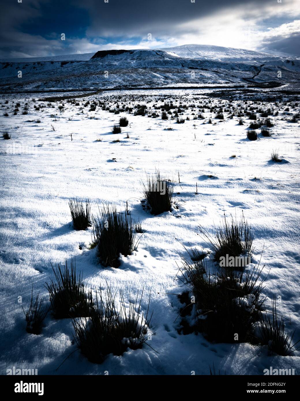 Snowy Field in the Yorkshire Dales, Langstrothdale Stock Photo