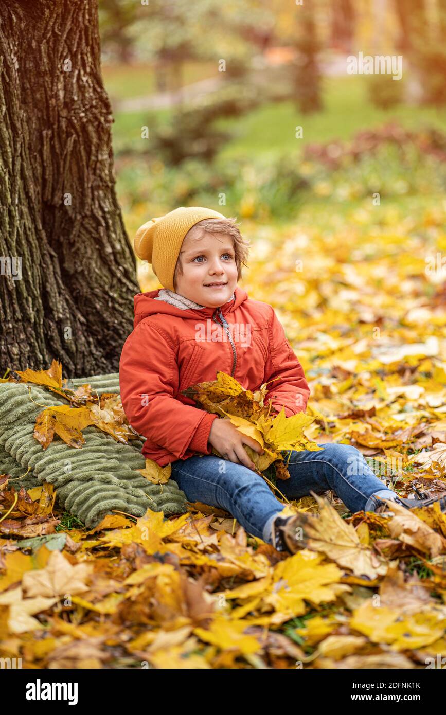 Cute little blond baby boy having fun outdoors in the park in autumn time sitting in the leaves under a tree in an autumn warm red color jacket and a Stock Photo