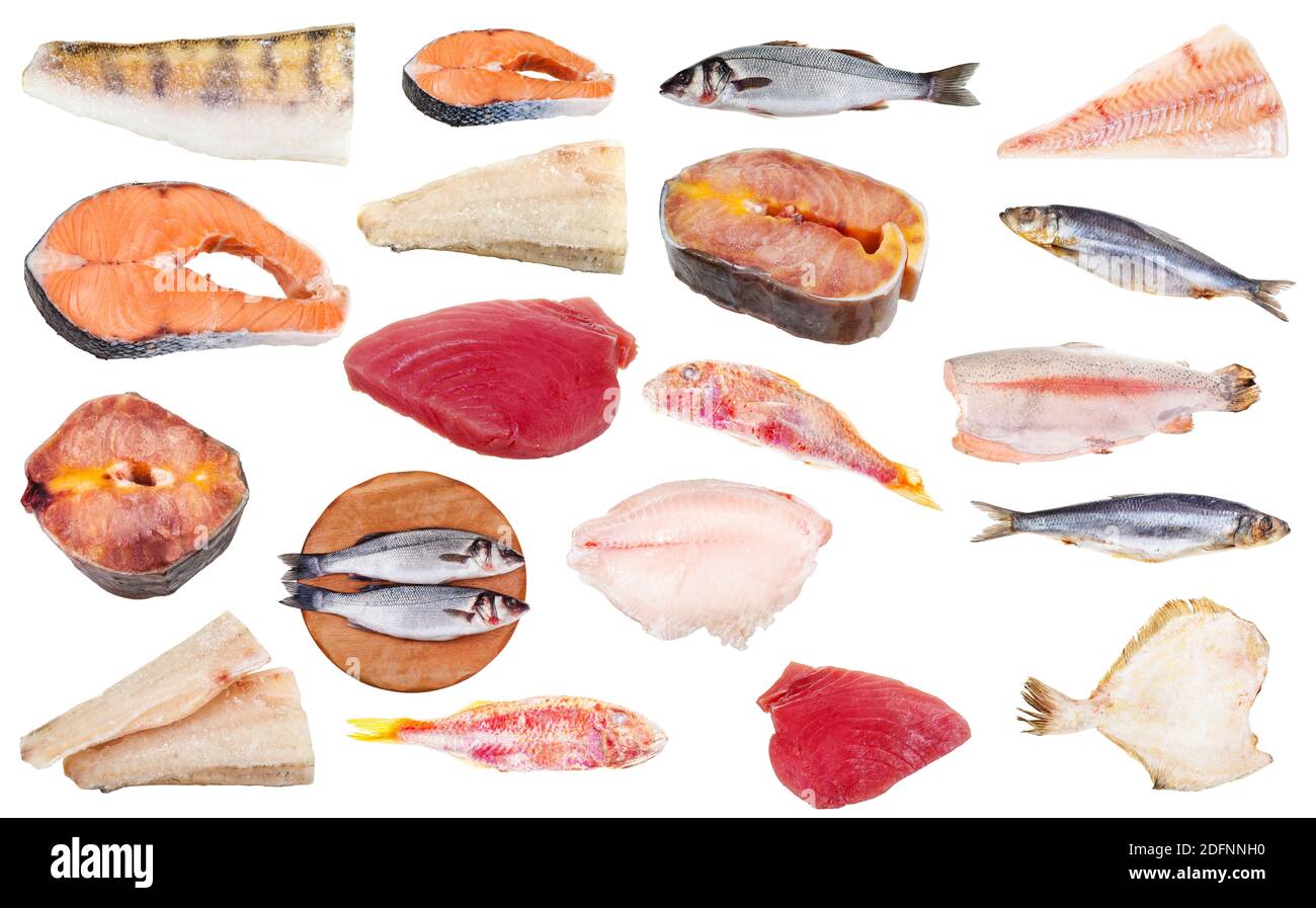 set of frozen raw fishes (cod, salmon, zander, pike-perch, sturgeon, tuna, seabass, trout, red mullet, herring, rockfish, flatfish, etc) isolated on w Stock Photo