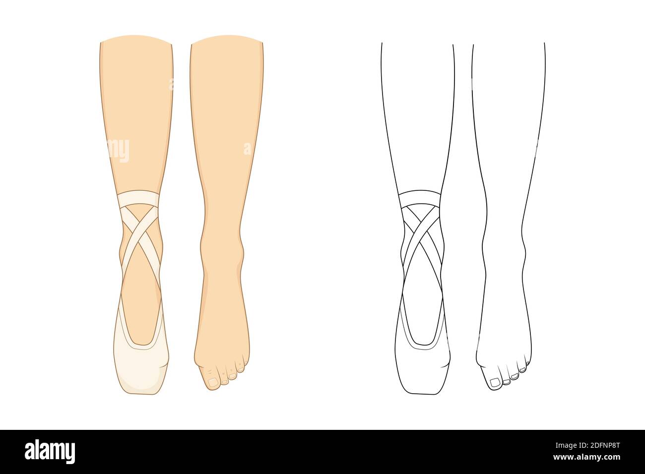 Professional ballerinas bunion illness, hallux valgus. The dancers legs are  barefoot and in pointes. Outline vector illustration Stock Vector Image &  Art - Alamy