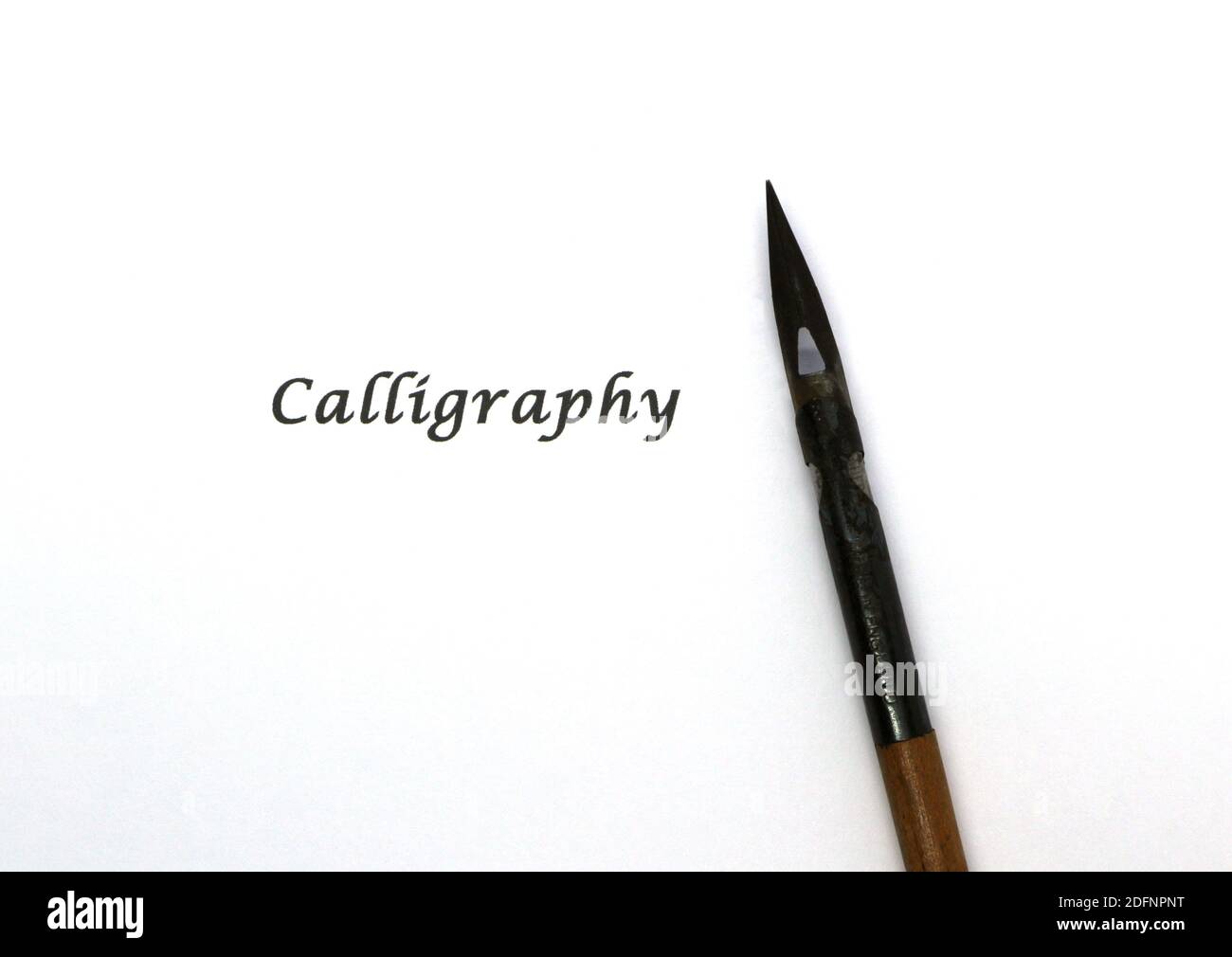Photo of a Nib in a pen holder Calligraphy and score writing metal nibs
