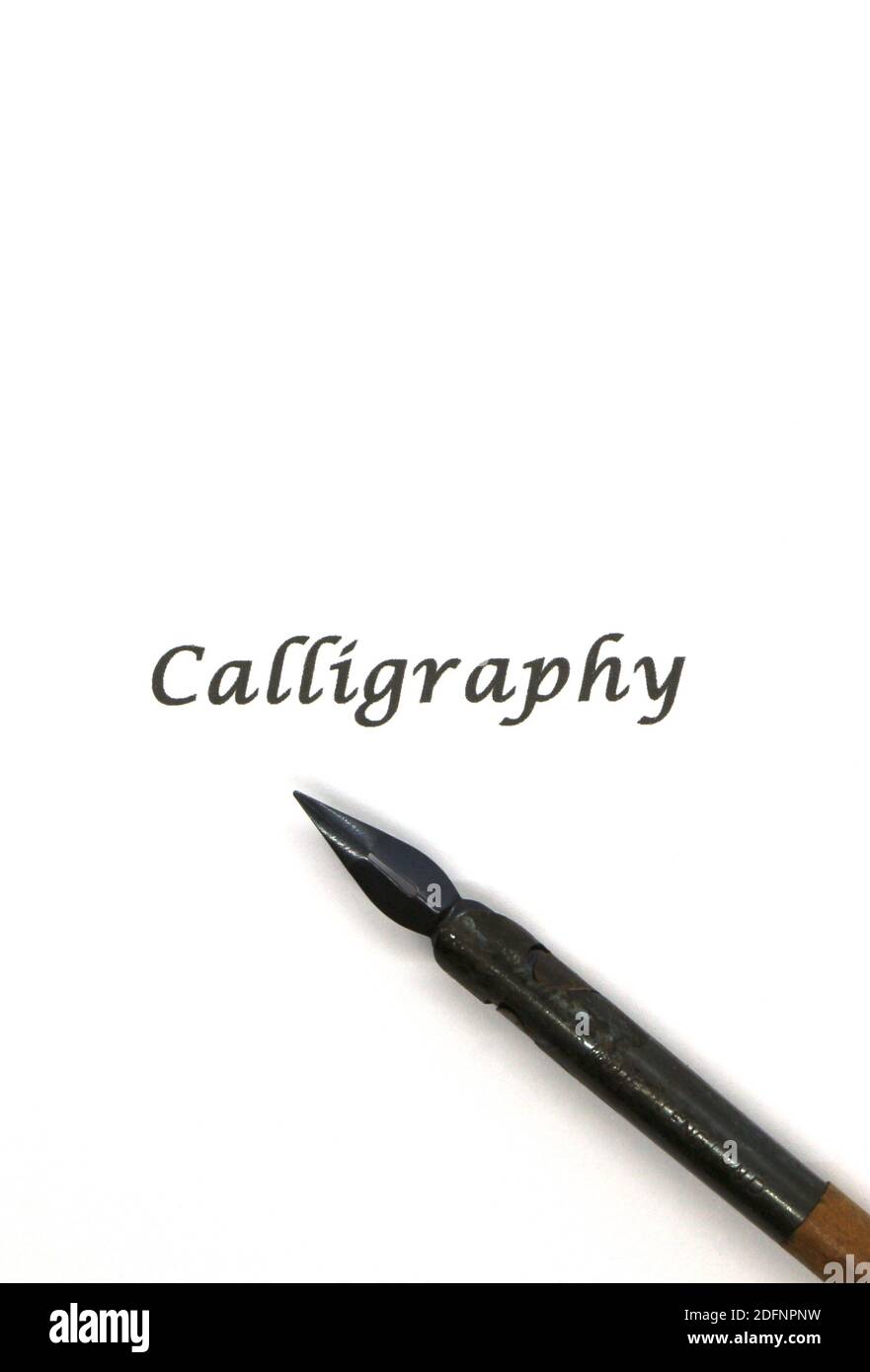 Photo of a Nib in a pen holder Calligraphy and score writing metal nibs