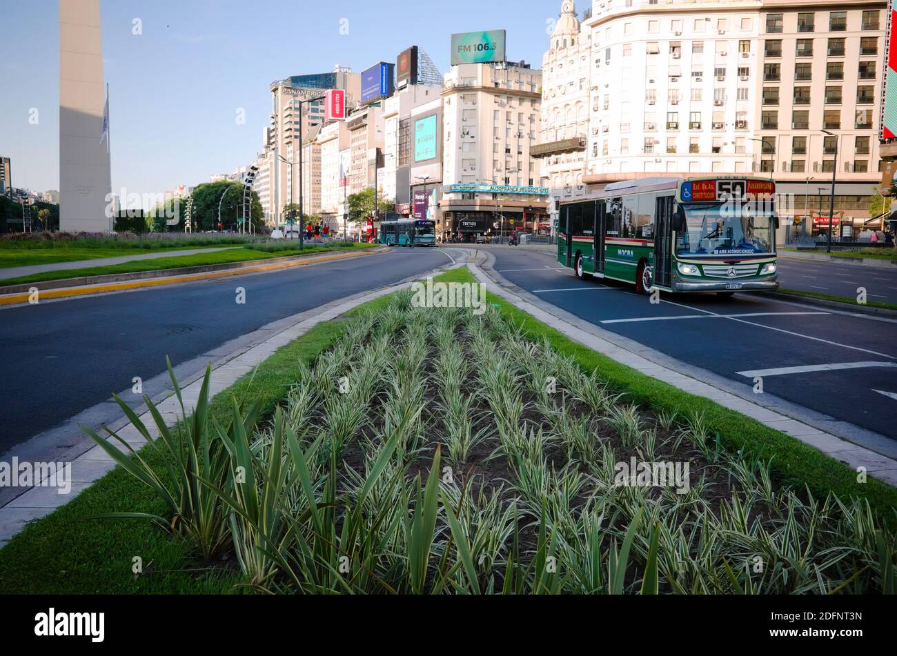 Buenos Aires, Argentina - January, 2020: Bus route 59 driving near Obelisco  de Buenos Aires - Obelisk of Buenos Aires - on world widest street Avenid  Stock Photo - Alamy