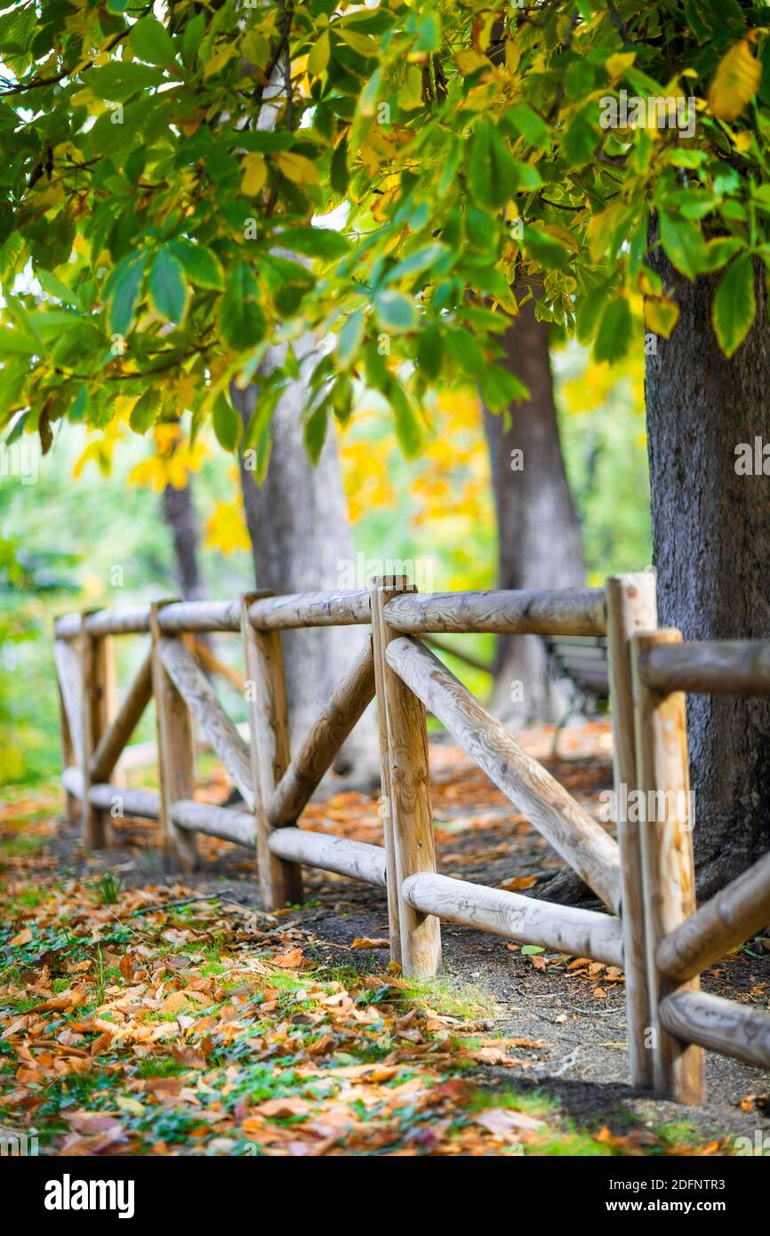 Decorative wooden fence in a public park. Stock Photo
